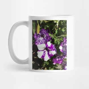 Purple And White Nasturtiums Mug